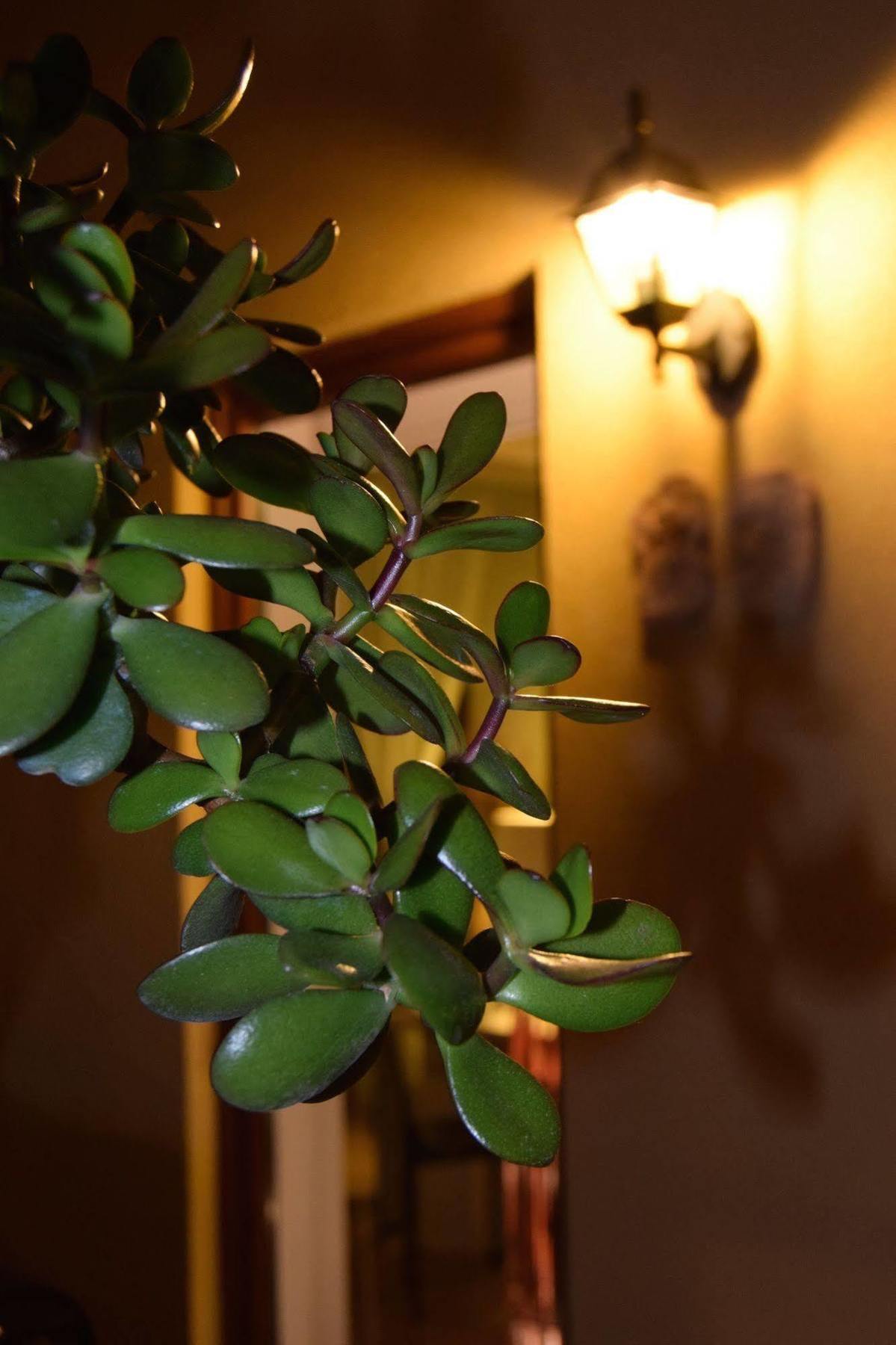 Aparthotel Residenza Le Due Torri Riva del Garda Esterno foto